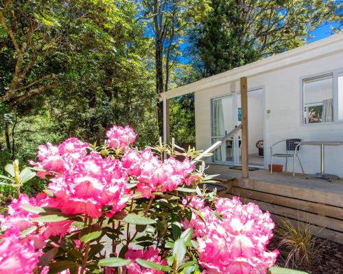 Ohakune Resort | Ohakune TOP 10 Holiday Park