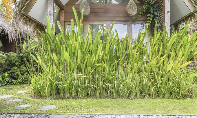 Pererenan Cottage | Ohana Bungalow 3BR