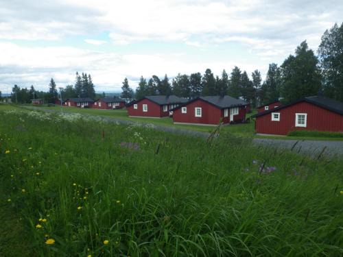 Hallen Cabin | Ol-jons By
