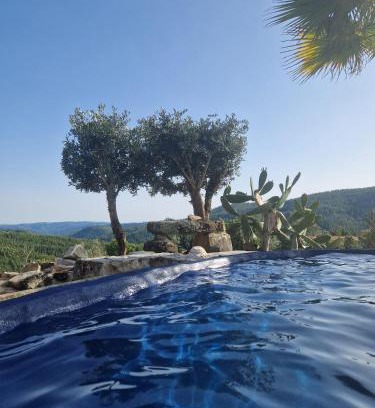 Figueiro dos Vinhos Villa | Ola Bella Vista
