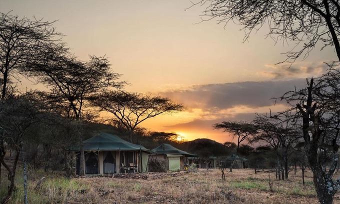 Serengeti National Park Other | Ole Serai Luxury Camp