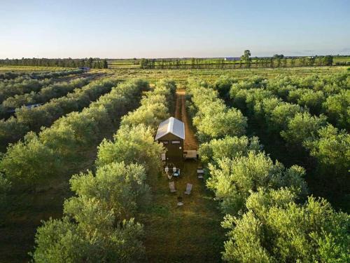 Tresco House | Olive Grove Retreat 2 by Tiny Away