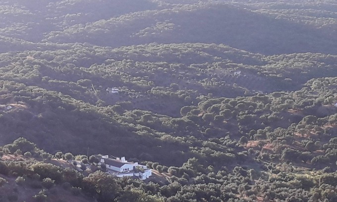 Estremoz Cottage | Olive Tree Cottage set in the Quinta de Evoramonte