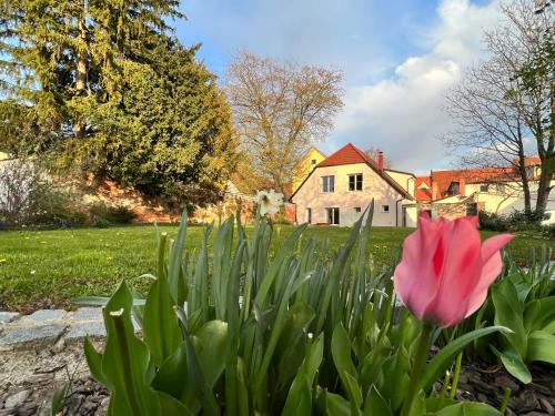 Slovenska Bistrica House | OM Yoga center