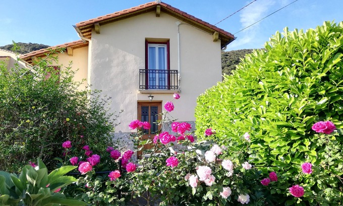 Ceret House | On the heights of Céret, house set in greenery with a lovely view.