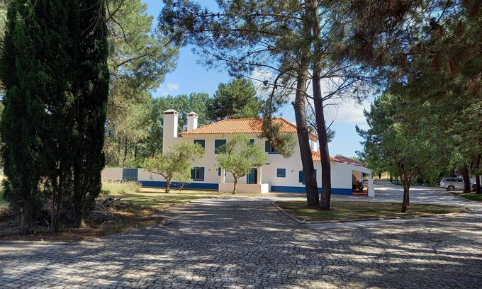 Alcacer do Sal Apartment | One-Bedroom Apartment