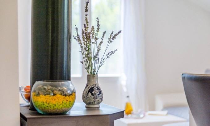 Cove Osibova (Milna) Apartment | One bedroom apartment with terrace Milna, Brač (A-11088-b)