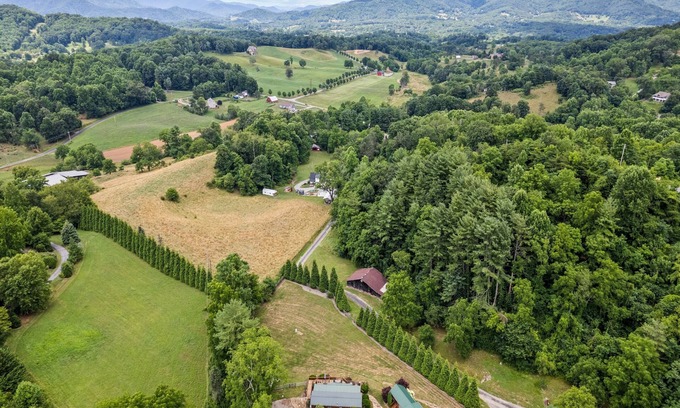 Asheville Cabin | One Bedroom Cabin 43 Acre Retreat Pets OK-Fenced, Private, Views, Internet