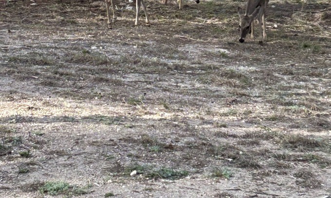 Medina RV Rental | One RV spot with water and electricity. NO dump station. Beautiful Medina Tx
