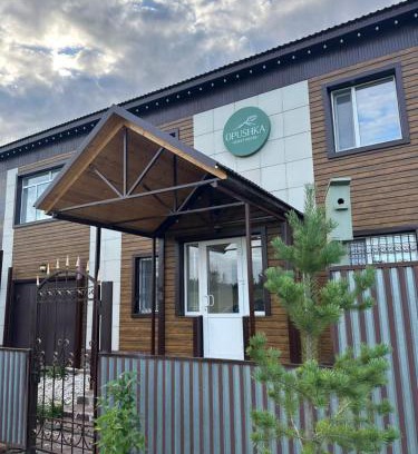 Akmola Region House | Opushka