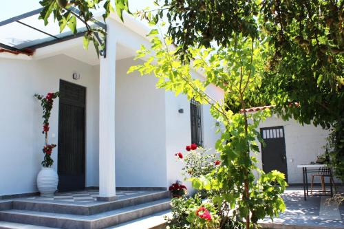 Selianitika House | ORANGE GARDEN