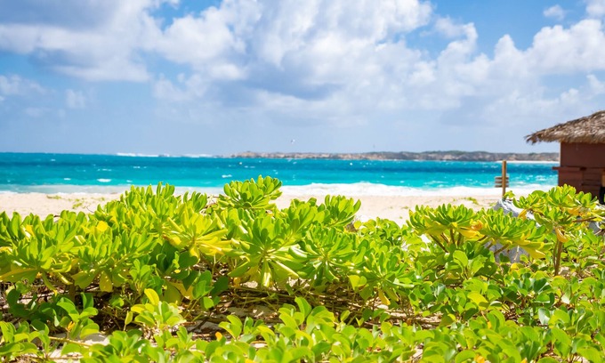 Orient Bay Hotel | Orient Beach Hotel