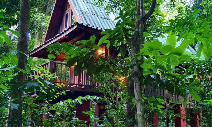 Khlong Sok Hotel | Our Jungle House