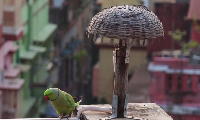 Kolkata Apartment | Owl's Nest: attic room