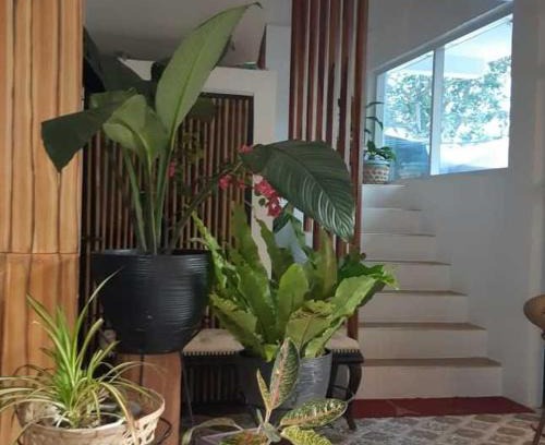 Mindoro Hotel | OYO 1130 Thrivers Hometel