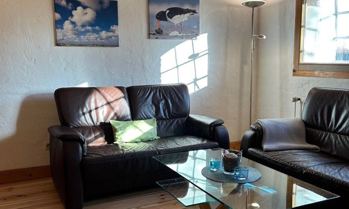 Vollerwiek Cottage | Oystercatcher - hoarfrost on the sea