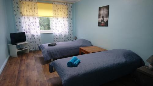 Kaina Apartment | Pärna külaliskorter