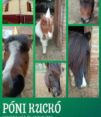 Hosszuvolgy House | Póni Kuckó Vendégház és Minifarm