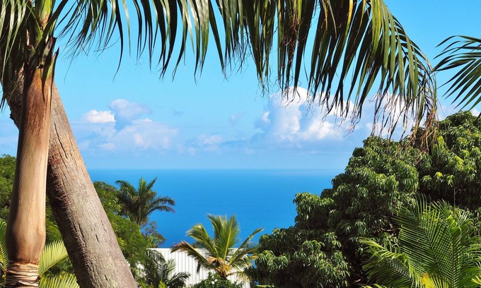 La Montagne House | * PALM VILLA * - near Saint-Denis