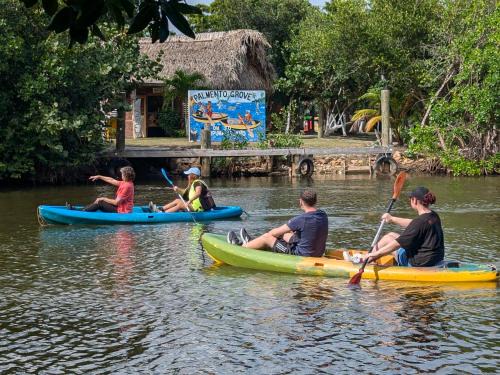 Hopkins Bed & Breakfast | Palmento Grove Garifuna Eco-Cultural & Healing Institute