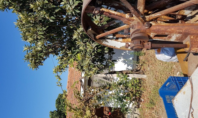 Soke Cottage | Panoramic nature dwellings with pine forest, olive valleys, sea and gre