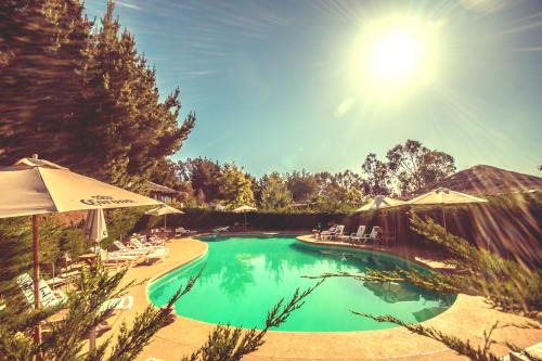 Algarrobo Cabin | Pao Pao Lodge Algarrobo