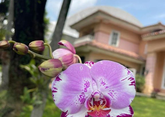 Citaringgul Villa | Papandayan Flowers House Villa