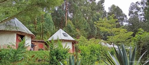 Kabale Apartment | Paradise Resort
