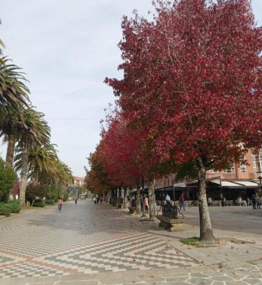 Noia Apartment | Paseo de Noia
