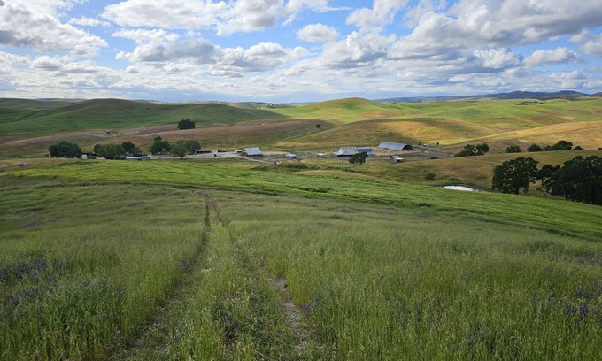 San Miguel Cabin | Paso Robles Ultimate Farm Stay! Country Oasis! Very Unique!