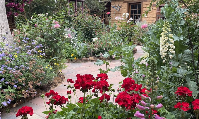 Witchcliffe Apartment | Patricia's Garden Studio at Swallows Welcome farm, close to Margaret River