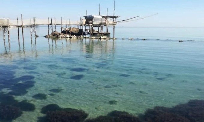 Fossacesia Apartment | Patrizia House Costa Trabocchi