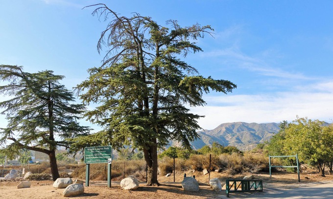 Sylmar House | Peaceful 1BR/1BA Retreat by the Mountains – A Cozy Escape in LA