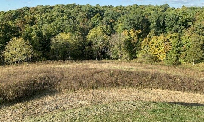 Perry Park Cabin | Peaceful, Beautiful Views, 10 miles to State Capitol