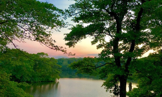 Falmouth House | Peaceful private retreat on pond, minutes from Falmouth and Woods Hole.