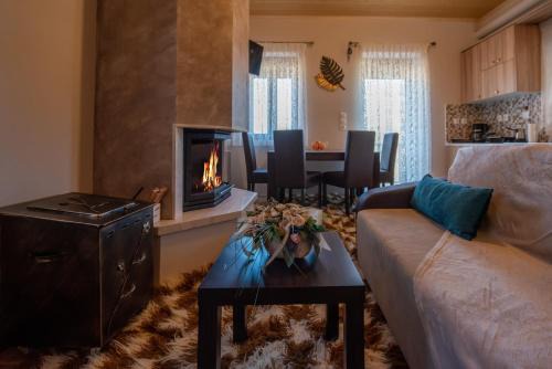 Metsovo House | Pefkos House