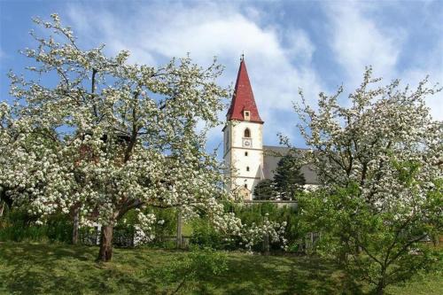 Turnau Apartment | Pension Kirchleitn