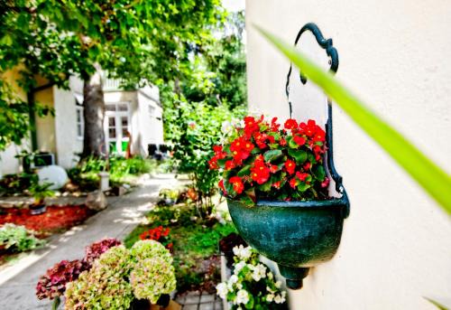 Baden Bed & Breakfast | Pension Margit