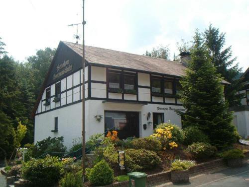 Oberkirchen House | Pension Sonnenschein