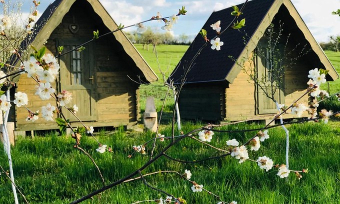 Crit Bed & Breakfast | Pensiune Rozalia - Camping