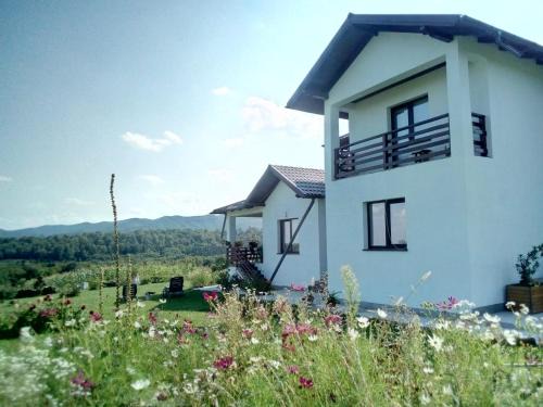 Boroaia Cabin | Pensiunea La Poarta Bucovinei