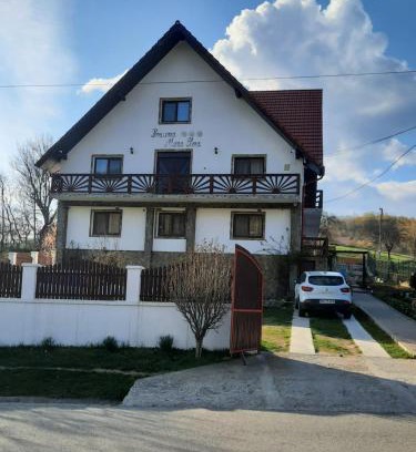 Ponoarele House | Pensiunea Maria-Elena