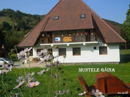 Avram Iancu House | Pensiunea Muntele Gaina