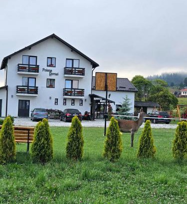 Vatra Dornei House | Pensiunea Poiana Dornei