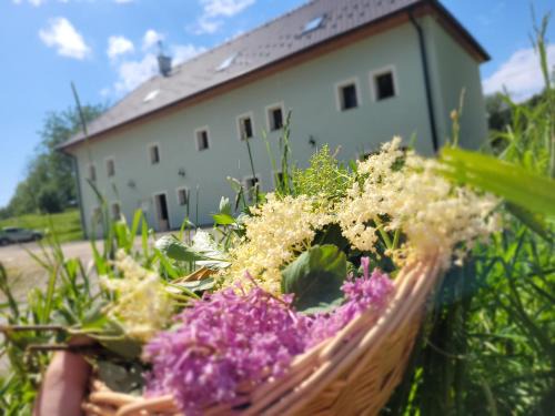 Rozmberk nad Vltavou House | Penzion U Fořta