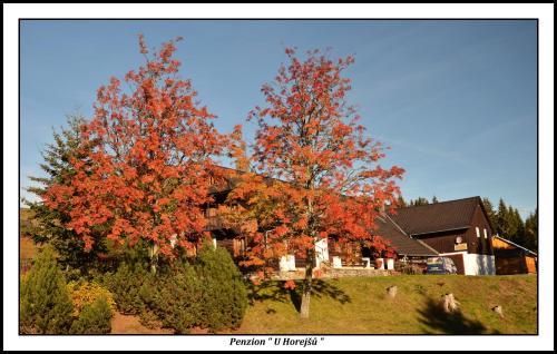 Zadov House | Penzion U Horejšů, Zadov - Churáňov
