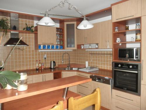 Zlin Apartment | PENZION VLASTA