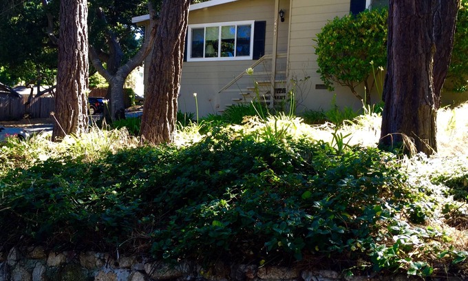 Northeast Carmel House | Perfect Carmel Retreat - Walk to Downtown