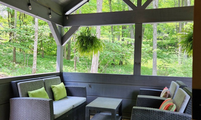 Boone Cabin | Pet-Friendly Cabin, Boone