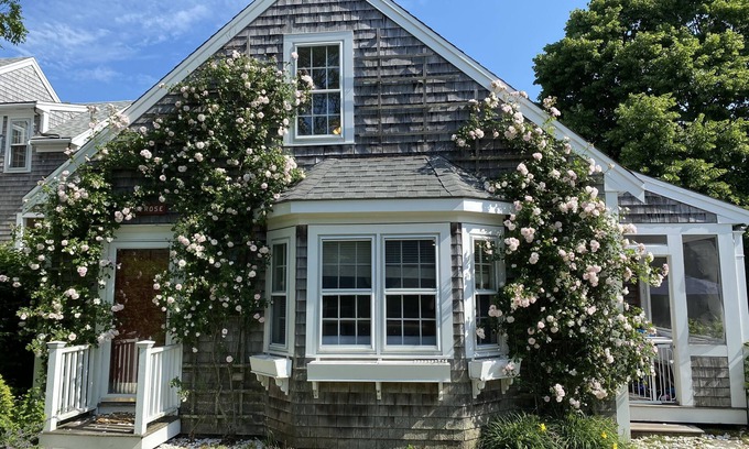 Nantucket Town Cottage | Pet friendly cottage in town on quiet paved street- AC, Wifi, Laundry, Parking